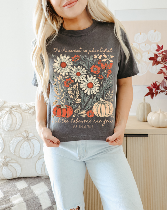 Plentiful Harvest Tee - Comfort Colors